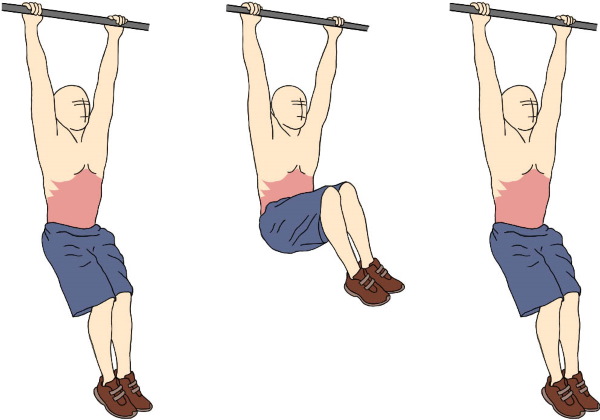 Beine an der horizontalen Stange anheben. Welche Muskeln arbeiten, Nutzen, Schaden, Programm, Technik