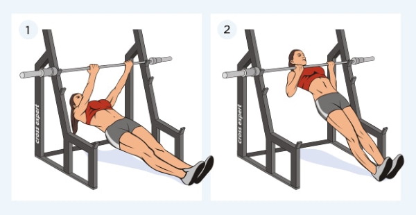 Raising legs on the horizontal bar. What muscles work, benefit, harm, program, technique