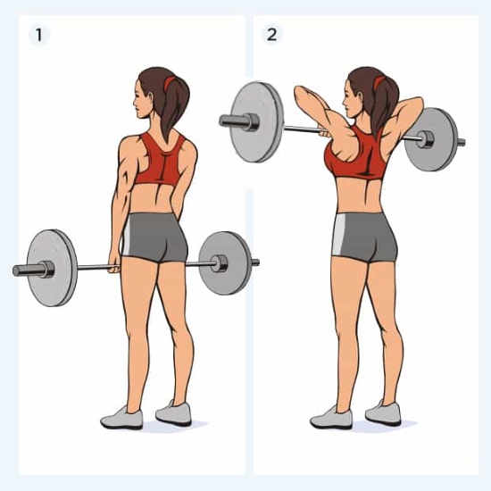 Exercices avec une barre pour amincir les filles pour les triceps, les jambes, le dos, tous les groupes musculaires à la maison