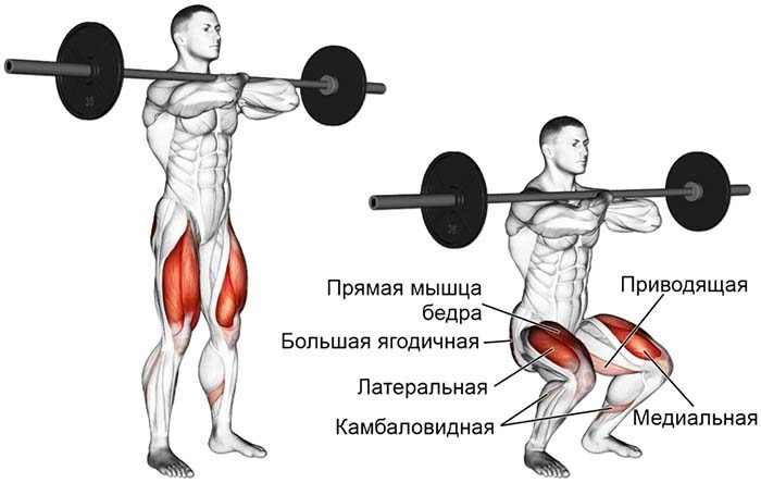 Sternum barbell squats. Techniek, welke spieren werken, heeft voordelen