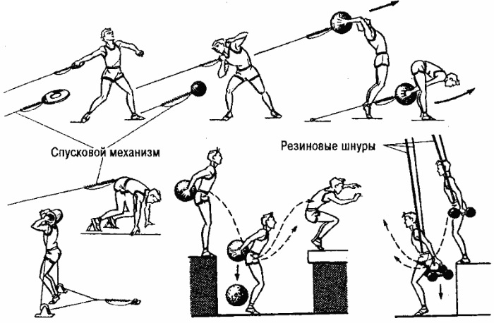 Strength in physical education. What is it, types, absolute, relative, development