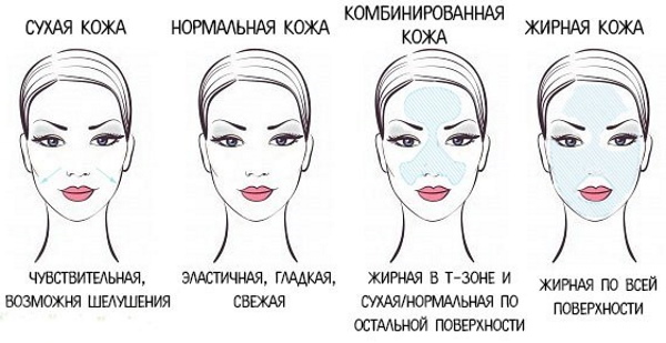 Types de peau en cosmétologie. Classification, critères de détermination, photo