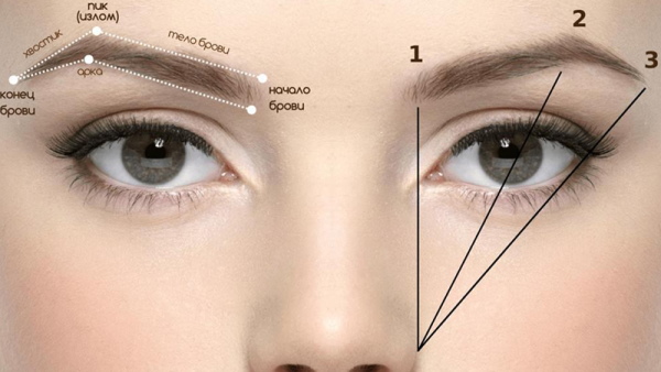 Typer af øjenbryn hos piger. Fotos, titler, korrektion, tatovering